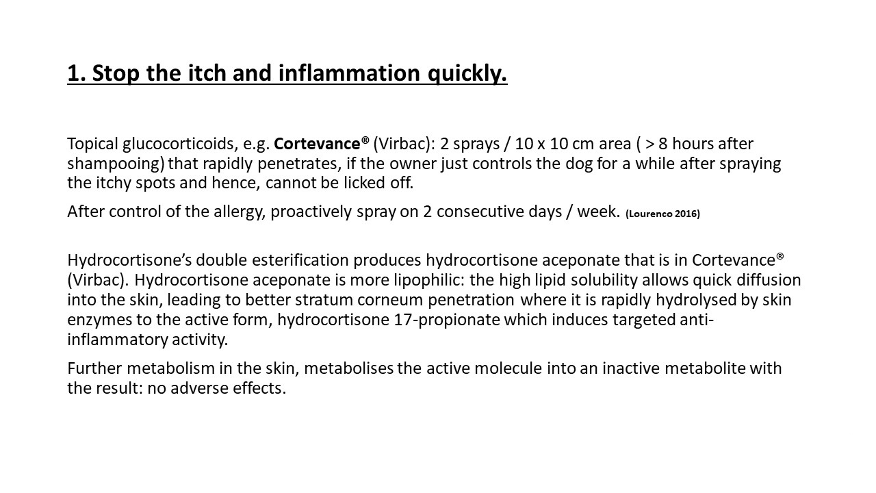 Pruritic_Dog_Webinar_Slide_13.jpg